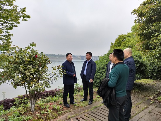 省国资委安稳处督查株洲航电分星空在线登录安全生产和防洪防汛工作