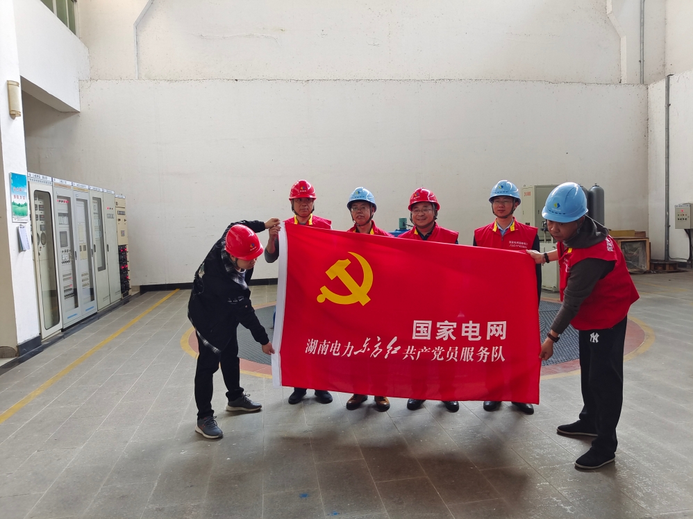鸟儿巢星空在线登录党支部与国网怀化供电星空在线登录电力调控中心党支部开展党建联建活动